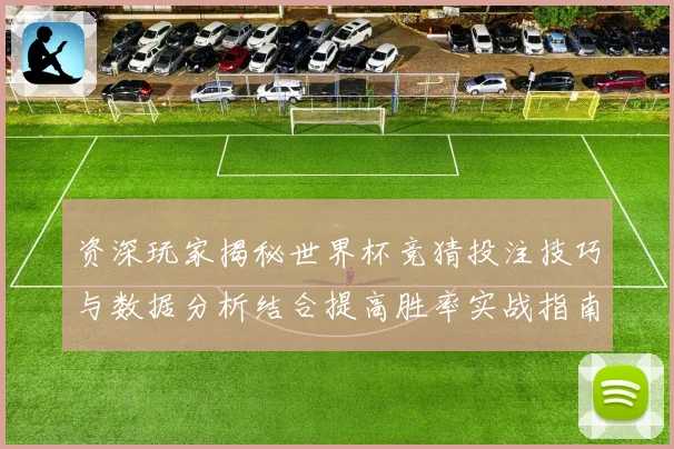 资深玩家揭秘世界杯竞猜投注技巧与数据分析结合提高胜率实战指南