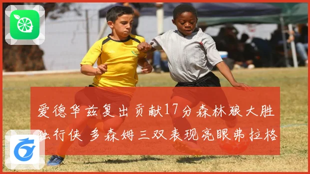 爱德华兹复出贡献17分森林狼大胜独行侠 多森姆三双表现亮眼弗拉格表现出色