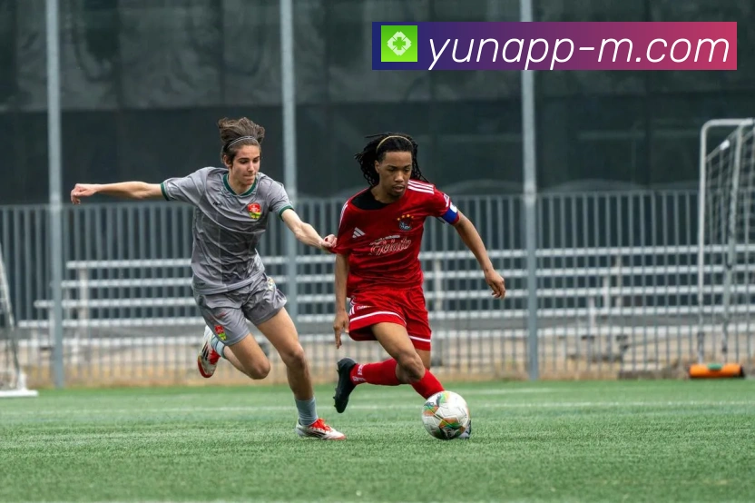 开云APP 体育赛事宣传图